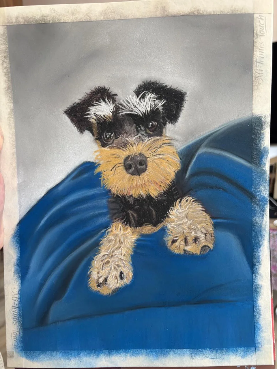 Placeholder — a pastel portrait of a schnauzer on a blue cushion